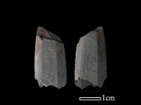 矛鏃形器藏品圖，第1張