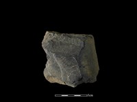 磨製斧鋤形器藏品圖，第1張