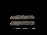 網墜藏品圖，第1張