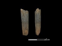 磨製石棒藏品圖，第1張