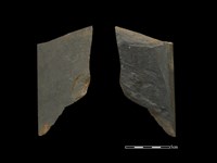 磨製斧鋤形器藏品圖，第1張