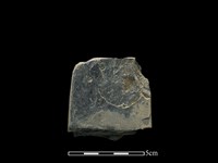 磨製斧鋤形器藏品圖，第2張