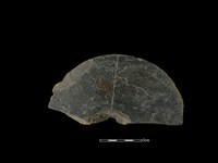 圓板形石器藏品圖，第2張