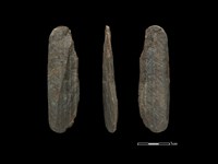 間接打擊棒藏品圖，第1張