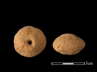 紡輪藏品圖，第1張