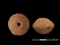 紡輪藏品圖，第1張