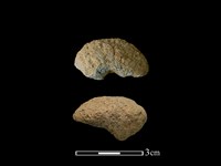 紡輪藏品圖，第1張