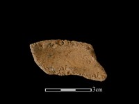 陶罐藏品圖，第2張