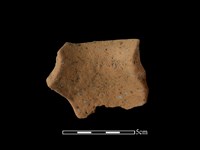 陶罐藏品圖，第3張