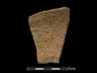 陶片藏品圖，第2張