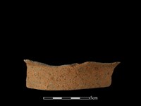 陶片藏品圖，第2張