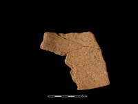 陶片藏品圖，第2張