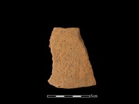 陶片藏品圖，第1張