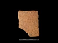 陶片藏品圖，第1張