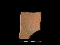 陶片藏品圖，第2張