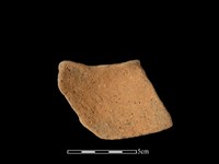 陶片藏品圖，第2張