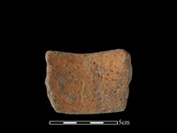 陶片藏品圖，第2張