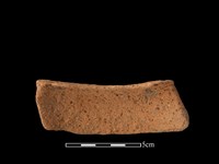 陶片藏品圖，第2張