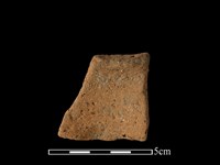 陶片藏品圖，第2張