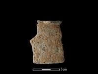 陶片藏品圖，第1張