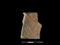 陶片藏品圖，第2張