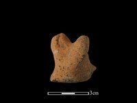 陶蓋鈕藏品圖，第2張