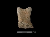 陶蓋鈕藏品圖，第1張