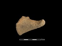 陶耳藏品圖，第1張