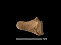 陶耳藏品圖，第1張