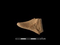 陶耳藏品圖，第2張