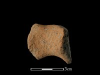 陶耳藏品圖，第1張