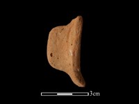 陶耳藏品圖，第2張