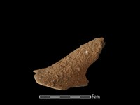 陶把藏品圖，第1張