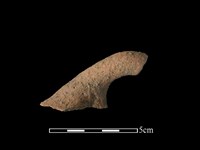 陶把藏品圖，第1張