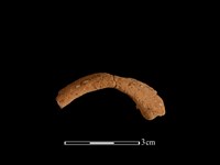 陶把藏品圖，第1張