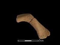 陶把藏品圖，第1張