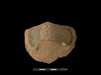 陶把藏品圖，第1張