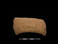 陶把藏品圖，第2張