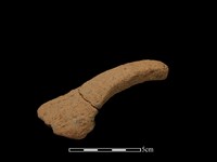 陶把藏品圖，第2張