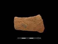 陶把藏品圖，第2張