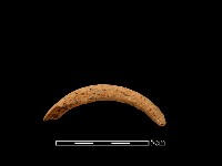 陶把藏品圖，第3張