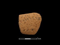 陶把藏品圖，第1張