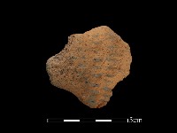 陶把藏品圖，第2張