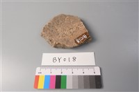 陶片藏品圖，第2張