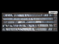 登錄號:C000015藏品圖，第1張