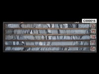 登錄號:C000016藏品圖，第1張