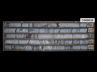 登錄號:C000020藏品圖，第1張