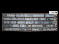 登錄號:C000021藏品圖，第1張