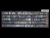 登錄號:C000028藏品圖，第1張