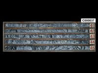 登錄號:C000037藏品圖，第1張